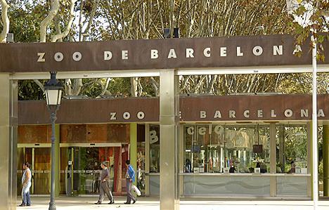 zoo de Barcelona