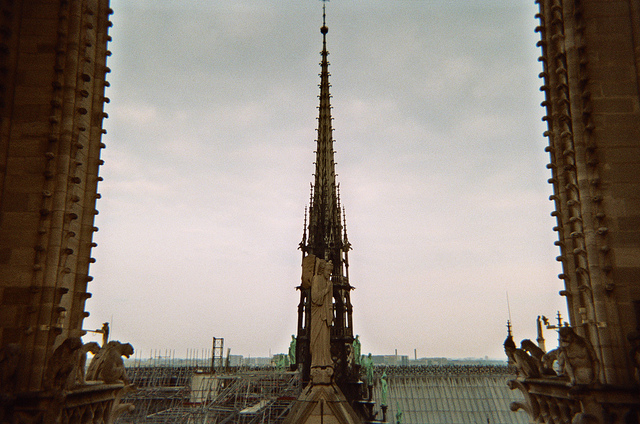 catedral de notre dame en paris